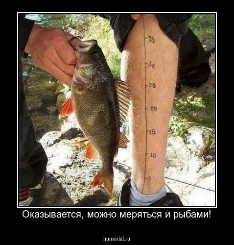 Оказывается, можно меряться и рыбами!