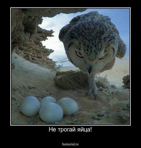 Не трогай яйца!
