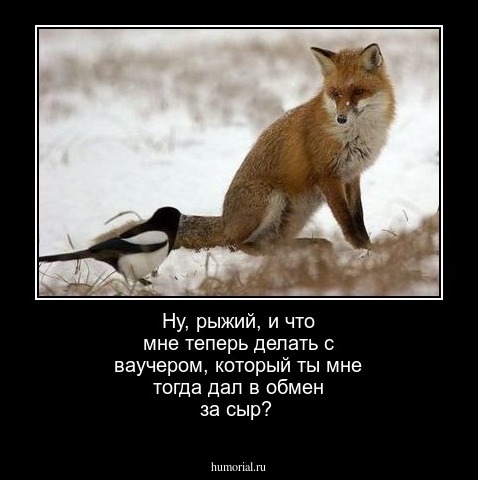 Ну, рыжий, и что мне теперь делать с ваучером,  который ты мне тогда дал в обмен за сыр? 