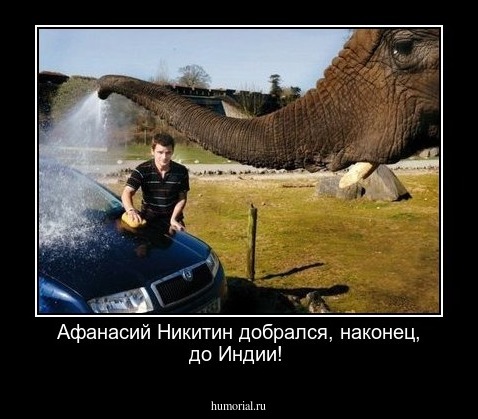 Афанасий Никитин добрался, наконец, до Индии!