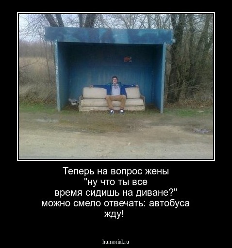 Теперь на вопрос жены "ну что ты все время сидишь на диване?" можно смело отвечать: автобуса жду!