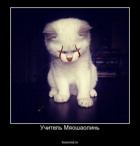  Учитель Мяошаолинь