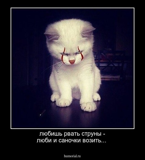 любишь рвать струны - люби и саночки возить...