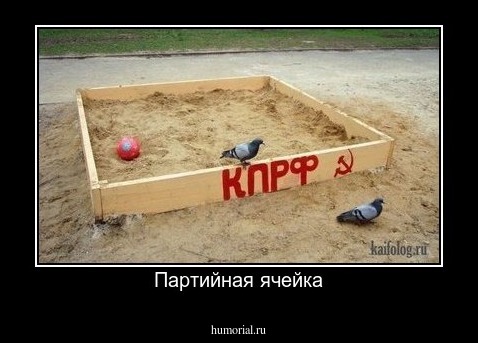Партийная ячейка