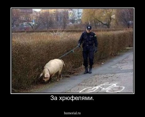 За хрюфелями.