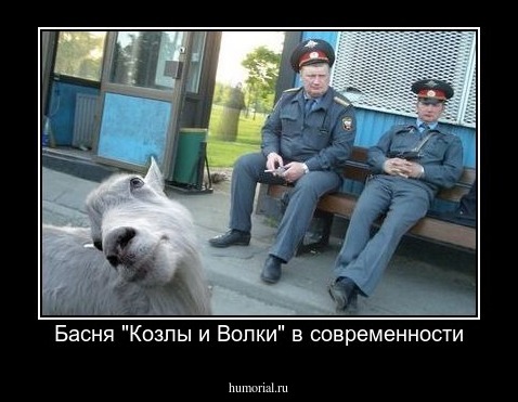 Басня "Козлы и Волки" в современности