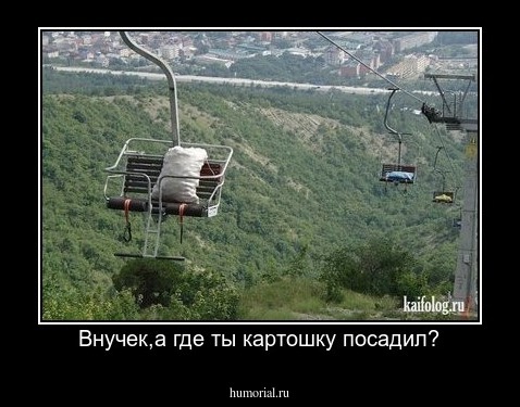 Внучек,а где ты картошку посадил?