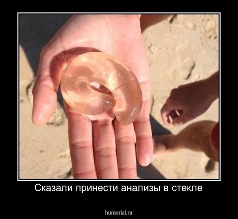 Сказали принести анализы в стекле