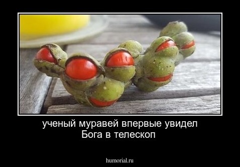 ученый муравей впервые увидел Бога в телескоп