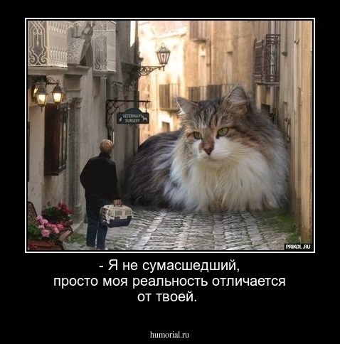- Я не сумасшедший, просто моя реальность отличается от твоей.