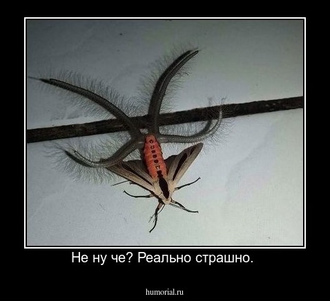 Не ну че? Реально страшно. 