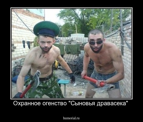 Охранное огенство "Сыновья дравасека" 