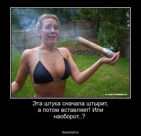 Эта штука сначала штырит, а потом вставляет! Или наоборот..?