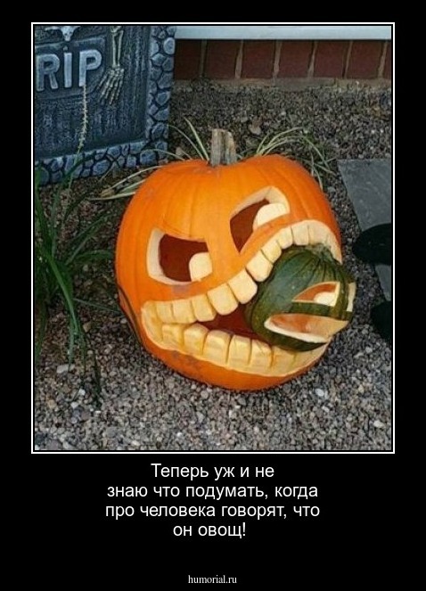 Теперь уж и не знаю что подумать, когда про человека говорят, что он овощ!
