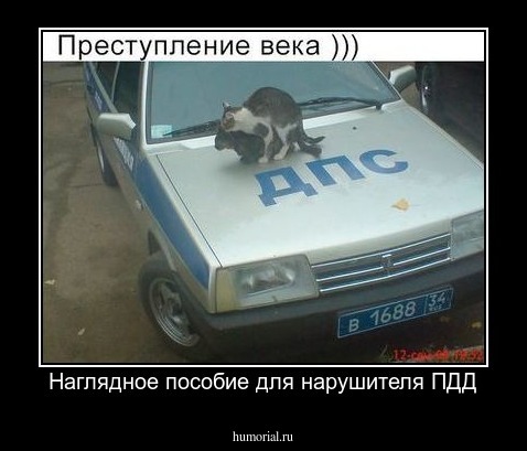 Наглядное пособие для нарушителя ПДД
