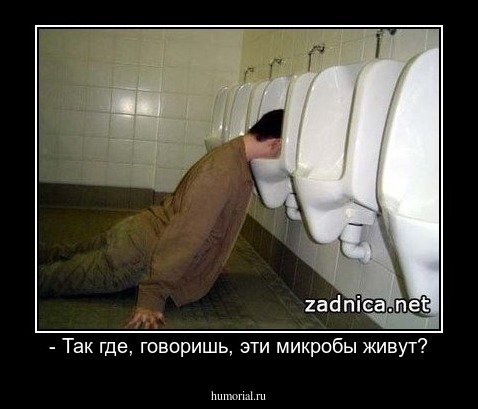 - Так где, говоришь, эти микробы живут?
