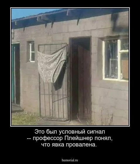 Это был условный сигнал -- профессор Плейшнер понял, что явка провалена.