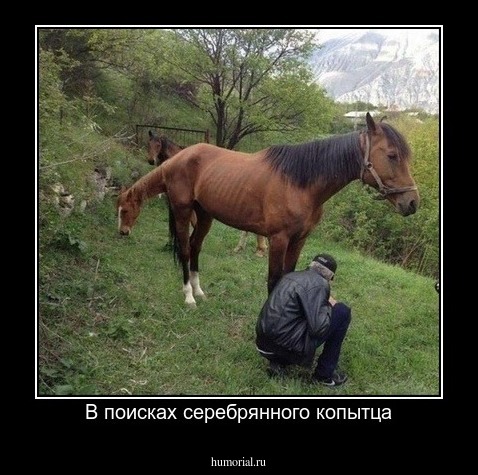 В поисках серебрянного копытца