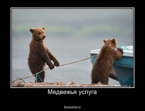 Медвежья услуга