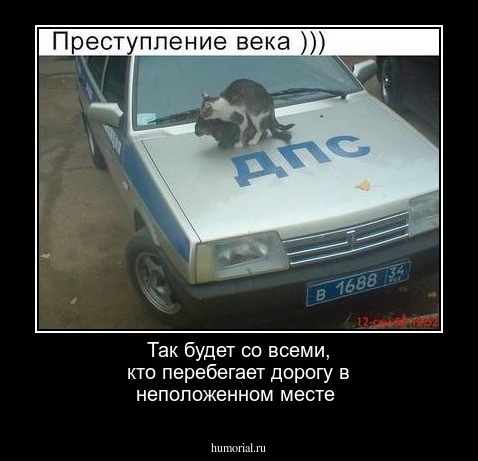 Так будет со всеми, кто перебегает дорогу в неположенном месте 