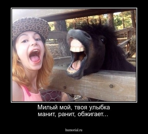 Милый мой, твоя улыбка манит, ранит, обжигает...