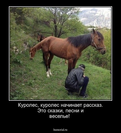 Куролес, куролес начинает рассказ. Это сказки, песни и веселье!