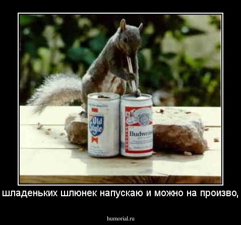 - Ща, шладеньких шлюнек напускаю и можно на производство!