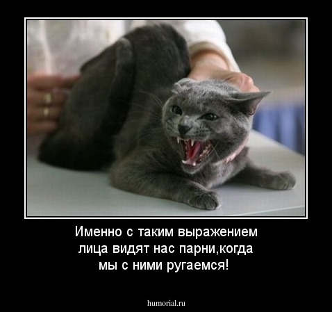 Именно с таким выражением лица видят нас парни,когда мы с ними ругаемся!