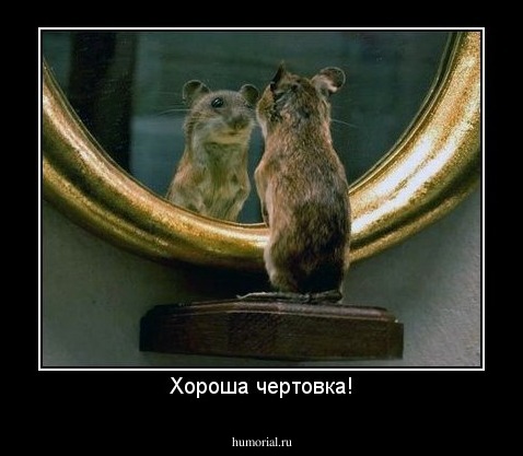 Хороша чертовка!