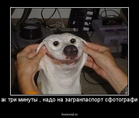 посиди так три минуты , надо на загранпаспорт сфотографировать ! 
