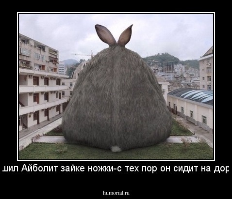 и пришил Айболит зайке ножки-с тех пор он сидит на дорожке.