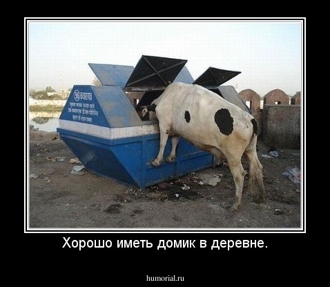 Хорошо иметь домик в деревне.