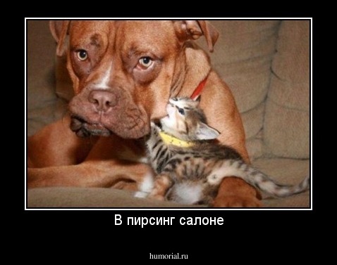 В пирсинг салоне