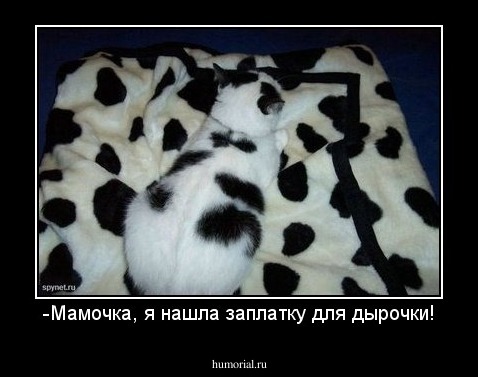 -Мамочка, я нашла заплатку для дырочки!