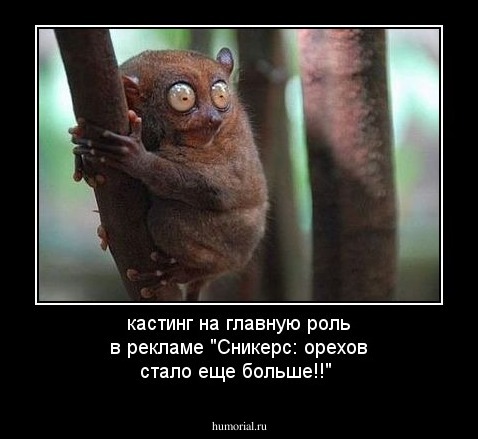 кастинг на главную роль в рекламе "Сникерс: орехов стало еще больше!!"