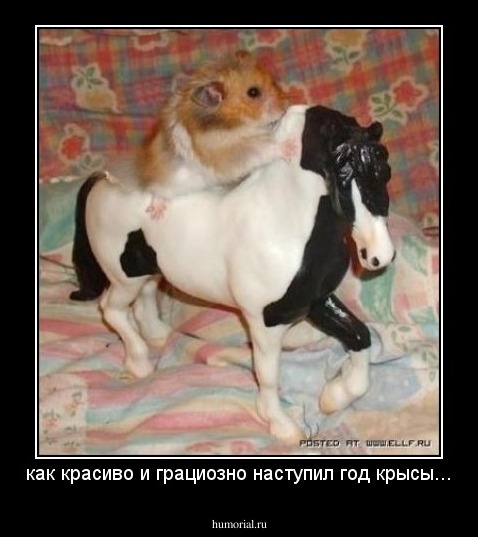 как красиво и грациозно наступил год крысы...