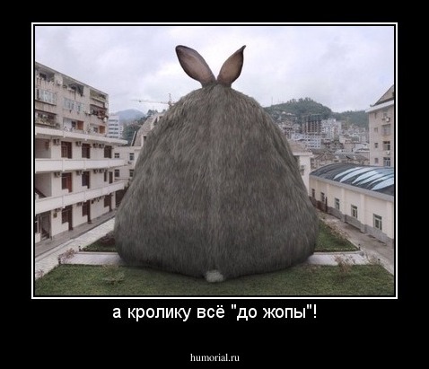 а кролику всё "до жопы"!