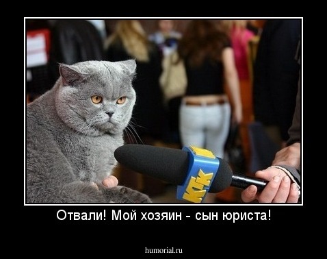Отвали! Мой хозяин - сын юриста!