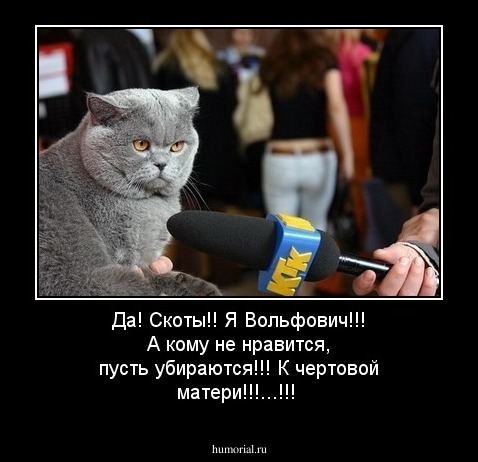 Да! Скоты!! Я Вольфович!!! А кому не нравится, пусть убираются!!! К чертовой матери!!!...!!!