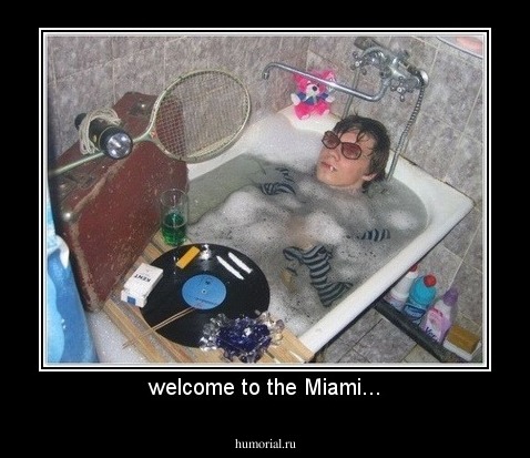 welcome to the Miami...