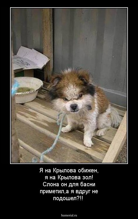 Я на Крылова обижен, я на Крылова зол! Слона он для басни  приметил,а я вдруг не подошел?!!