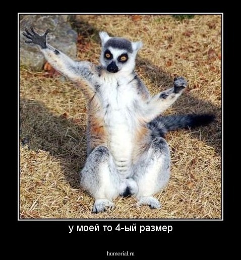 у моей то 4-ый размер