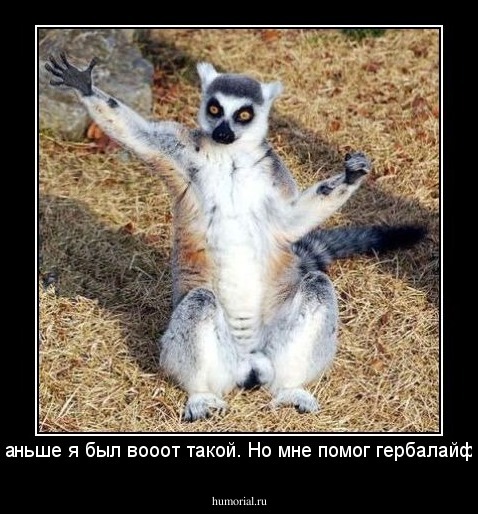 Раньше я был вооот такой. Но мне помог гербалайф. 