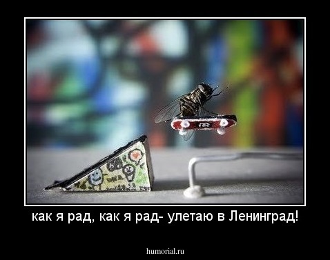 как я рад, как я рад- улетаю в Ленинград!