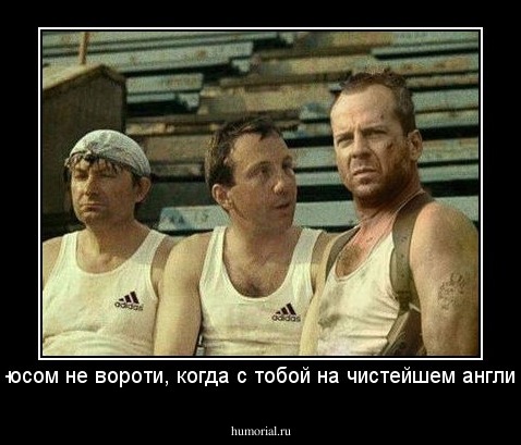 -да ты носом не вороти, когда с тобой на чистейшем английском...