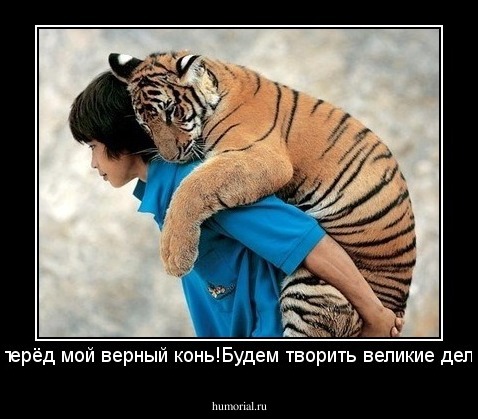 Вперёд мой верный конь!Будем творить великие дела!