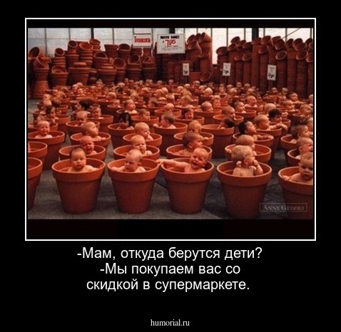 -Мам, откуда берутся дети?
-Мы покупаем вас со скидкой в супермаркете.