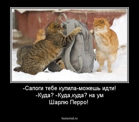 -Сапоги тебе купила-можешь идти!
-Куда?
-Куда,куда? на ум Шарлю Перро!
