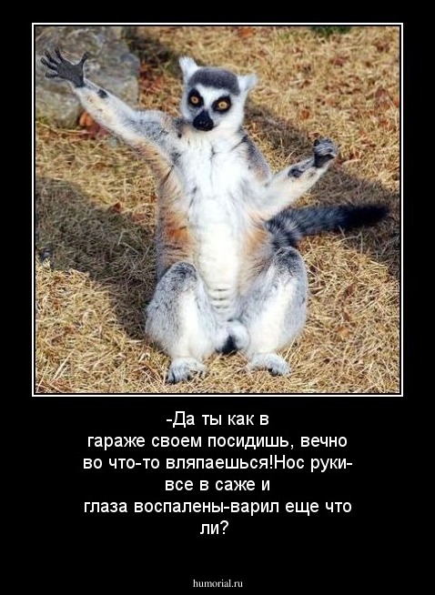 -Да ты как в гараже своем посидишь, вечно во что-то вляпаешься!Нос  руки- все в саже и глаза воспалены-варил еще что ли?