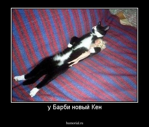 у Барби новый Кен